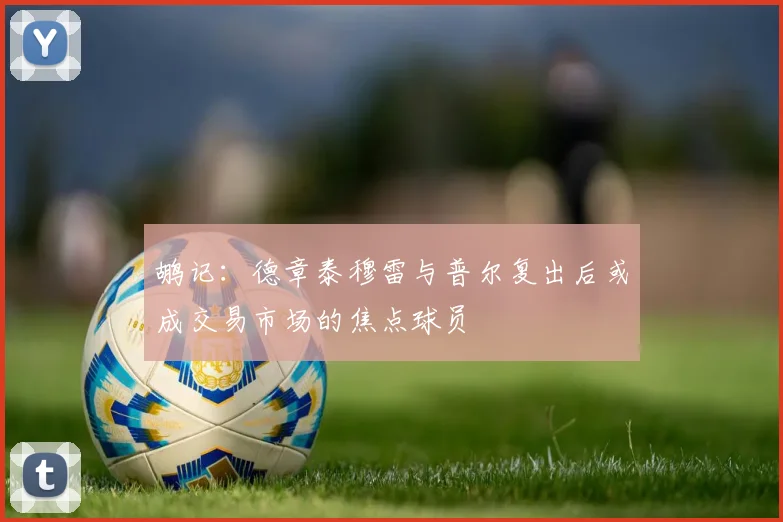 鹕记：德章泰穆雷与普尔复出后或成交易市场的焦点球员