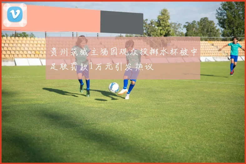 贵州筑城主场因观众投掷水杯被中足联罚款1万元引发热议