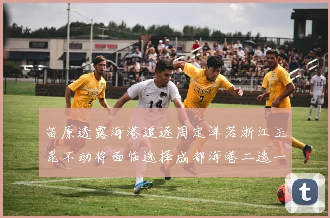 苗原透露海港追逐周定洋若浙江玉昆不动将面临选择成都海港二选一