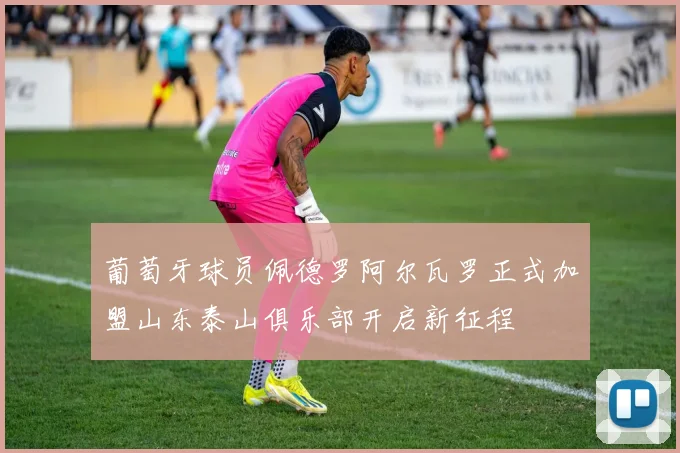 葡萄牙球员佩德罗阿尔瓦罗正式加盟山东泰山俱乐部开启新征程