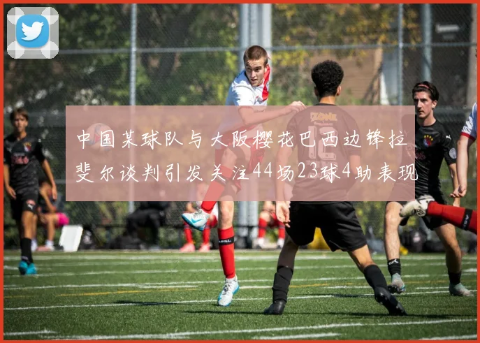 中国某球队与大阪樱花巴西边锋拉斐尔谈判引发关注44场23球4助表现抢眼
