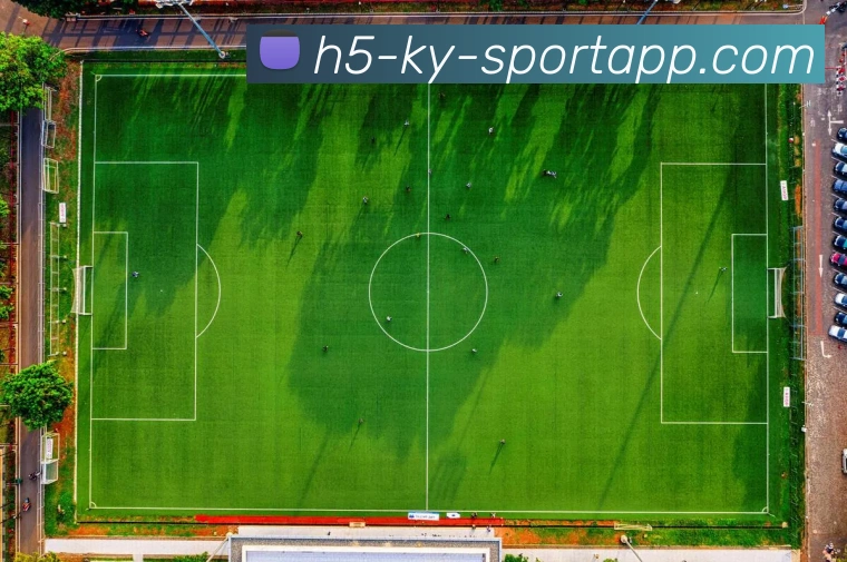 开云体育平台生态图