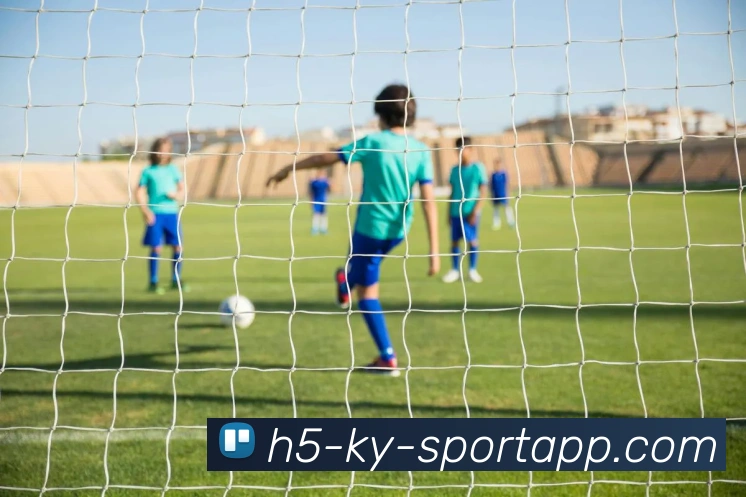 开云体育APP 封面图